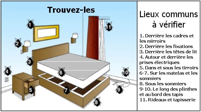 schéma des lieux à vérifier pour trouver présence de punaises de lit