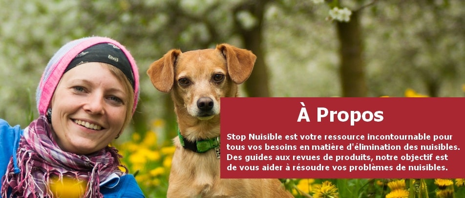 bannière constituée d'une photo d'une dame à côté d'un chien