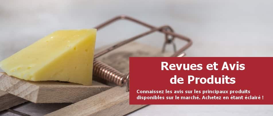 bannière constituée d'une photo d'un piège à souris armé avec un fromage pour appât