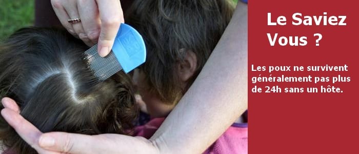 image d'une maman enlevant avec un peigne anti-poux en métal les poux de la tête de ses enfants